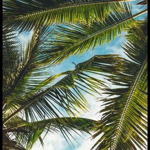 Meet your Posher, Candice